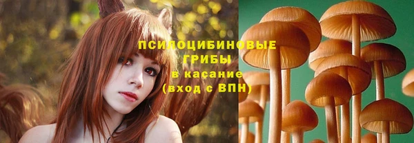 эйфоретик Вязьма