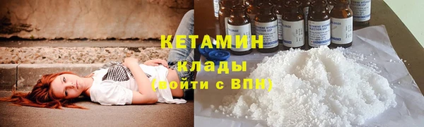 сатива Верея
