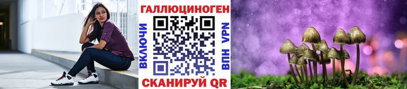 Псилоцибиновые грибы Psilocybine cubensis  Заводоуковск 